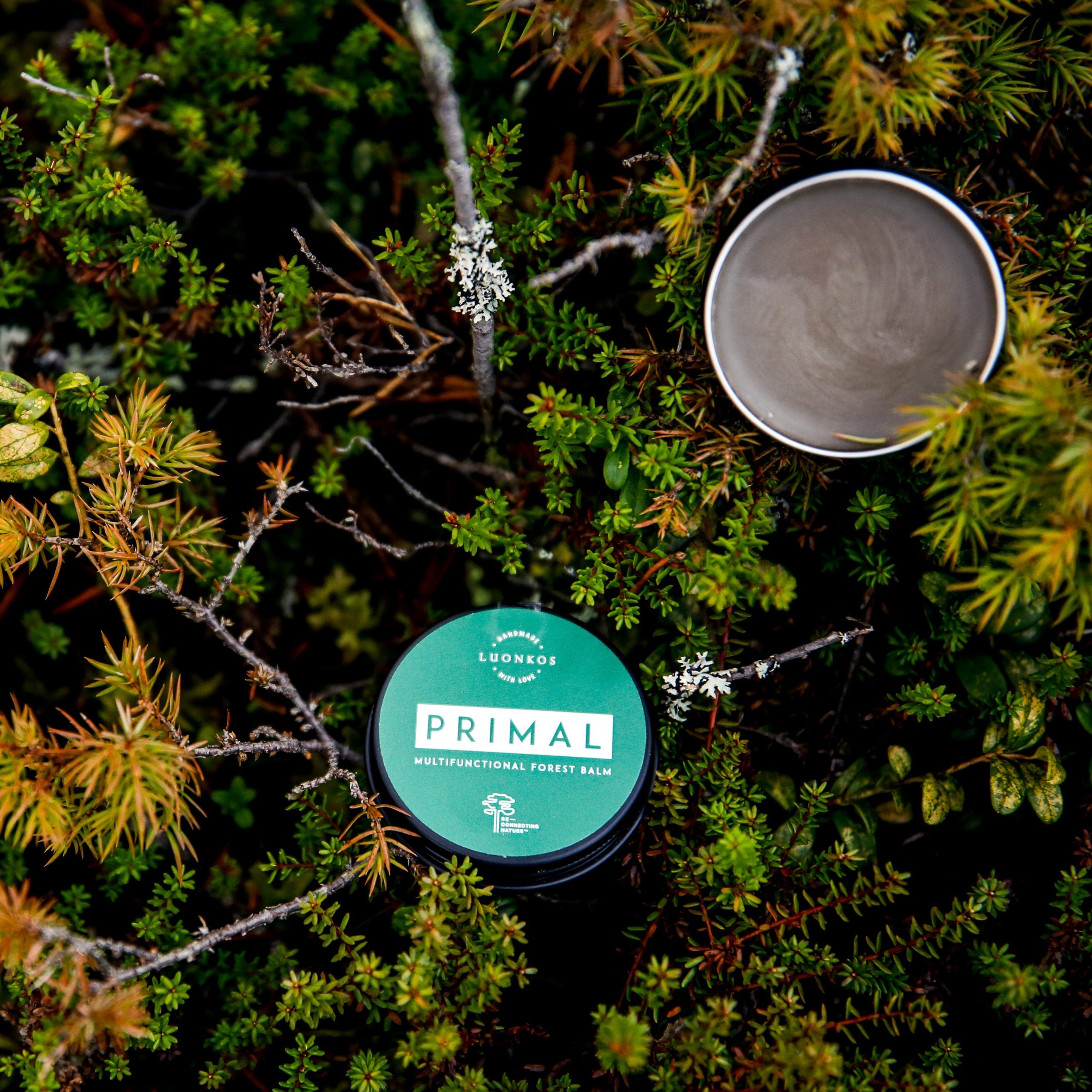 Primal Multifunctional Forest Balm - Forest Microbes