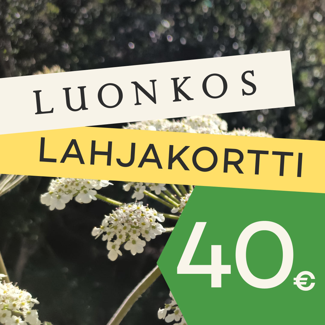 Luonkos Geschenkgutschein
