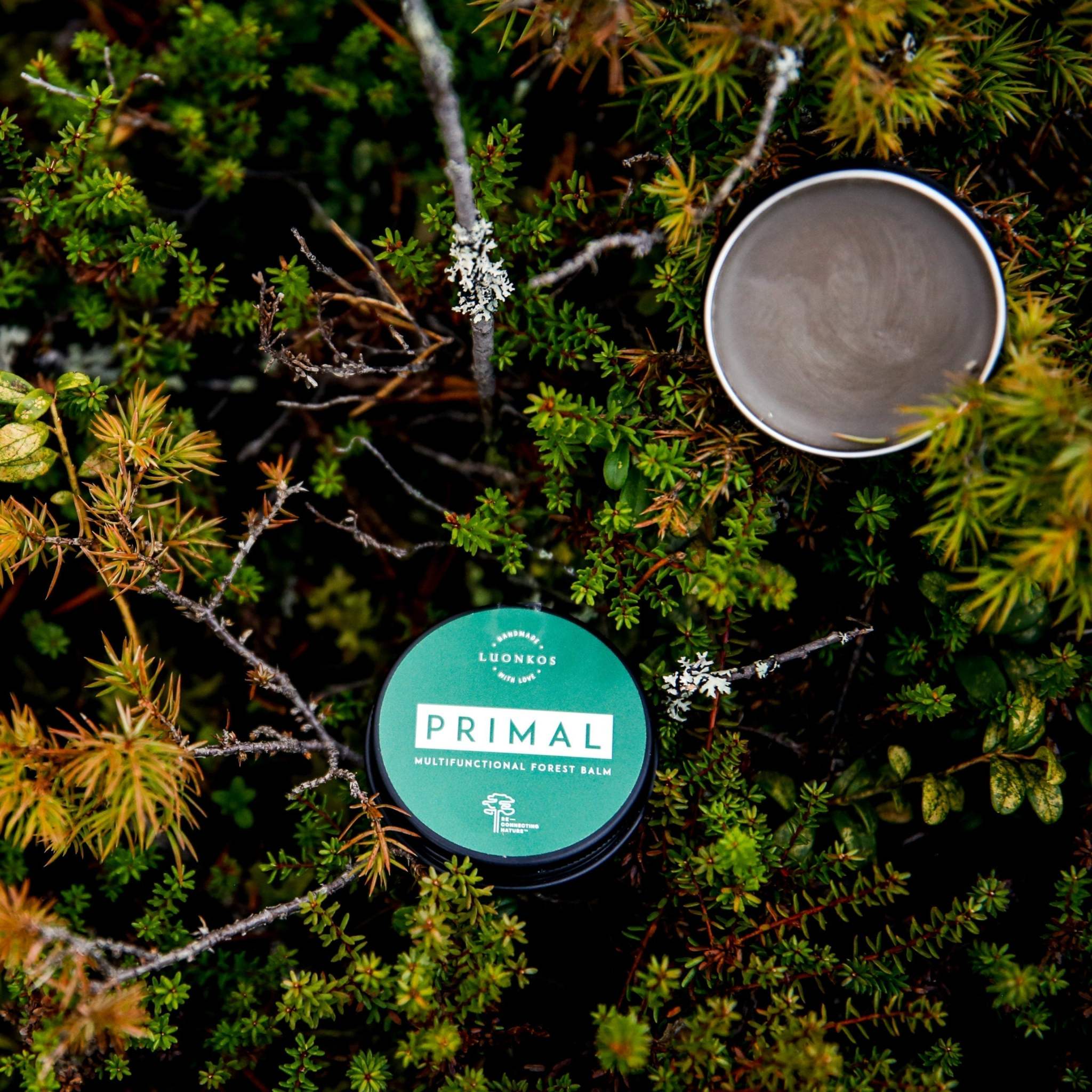 Primal Multifunctional Forest Balm 30 ml amidst forest greenery.